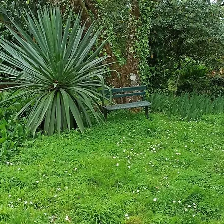 Дом отдыха Casa Da Nogueira *