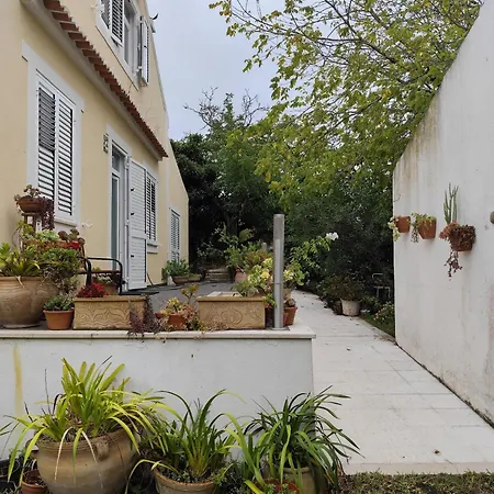 Дом отдыха Casa Da Nogueira Alvorninha