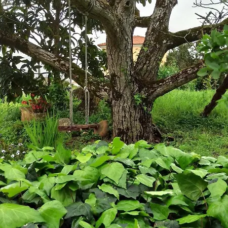 Casa Da Nogueira Дом отдыха