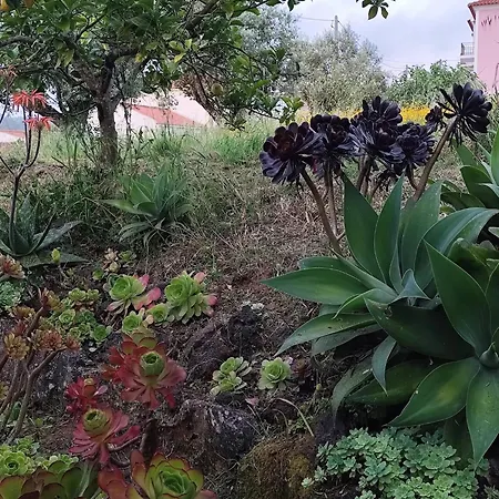 Holiday home Casa Da Nogueira *