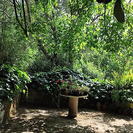 Casa Da Nogueira Alvorninha