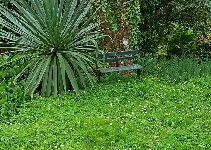 Casa de Férias Casa Da Nogueira *