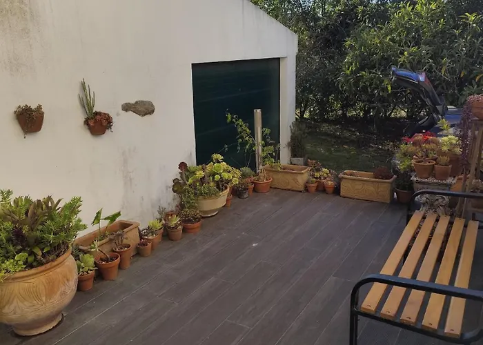 Casa Da Nogueira * Alvorninha