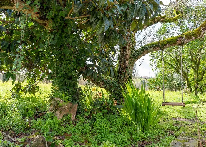 Casa Da Nogueira Casa de Férias